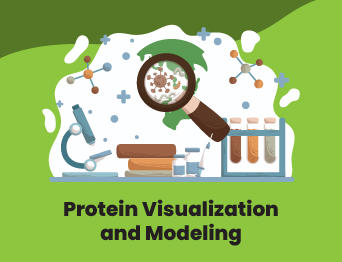 Protein Modeling dan Visualisasi (Protein Visualization and Modeling)