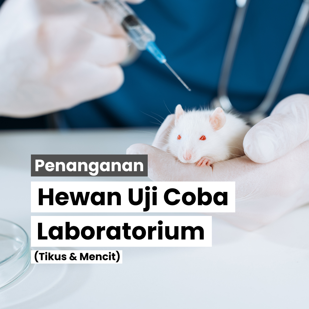 Latihan Dasar Penanganan Hewan Coba Laboratorium Tikus dan Mencit