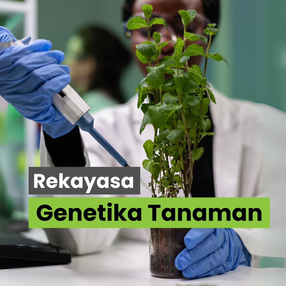 Rekayasa Genetika Tanaman (Plants Genetic Engineering)